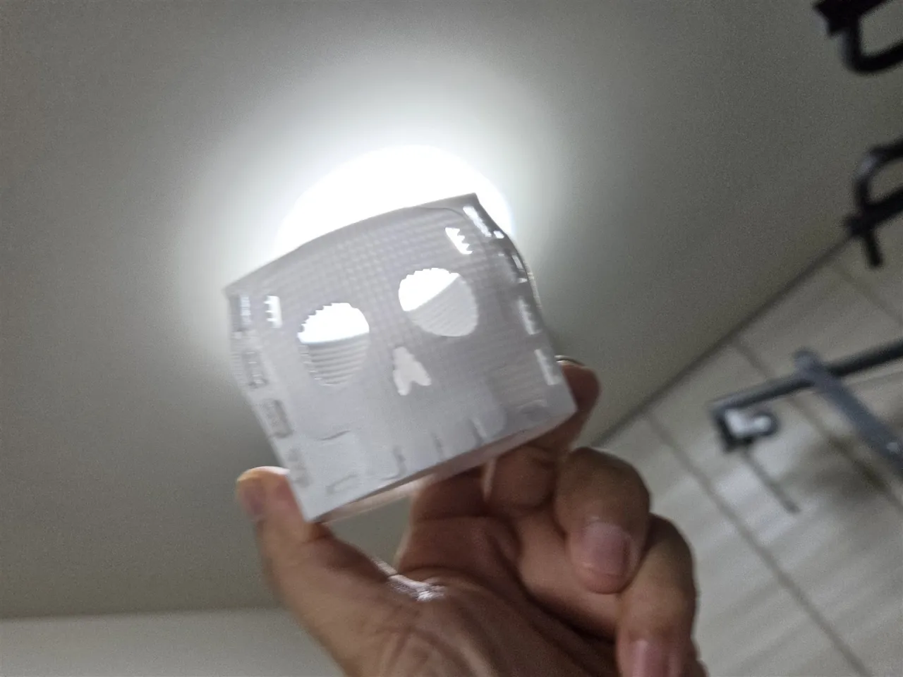 光に透かしたドクロ